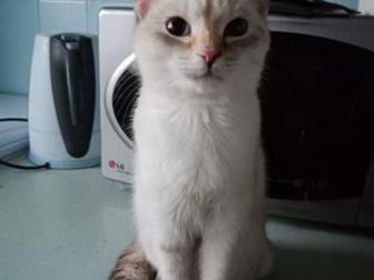     ,   6 ,  , ,  ,  