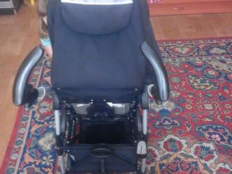   -  Peg-Perego ( )   ,  - ,  ,   ,  5,9 ,  50 ,    