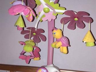   Tiny Love    : 48  30  7 :    ,      