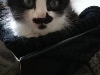  ,     ,  - ,   ,  ,  ,  