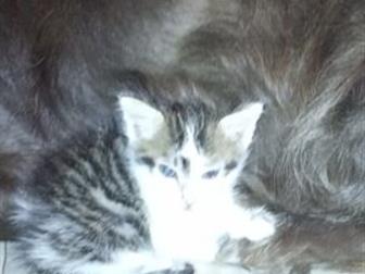  ,  !       , , , !    !    