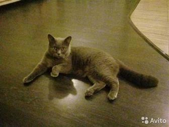    , 1,5  ,      ,    , ,     ,  