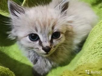     ,      ,       ,      ,   ,  