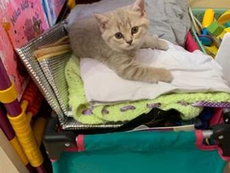      !   ,   ,             ,    