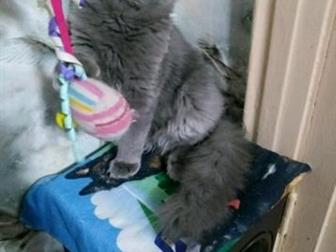      (   ) , , ,  12, 10, , ,      , , ,        