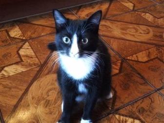  ,    ,    ,   ,     ,  ,   ,  