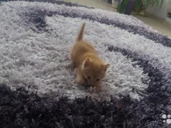      , 1   21 ,   ,    ,      !  