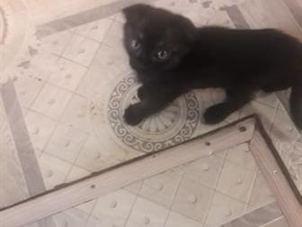       ,    ,   ,    ,    ,     ,  