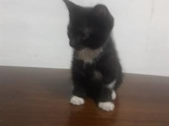       ,    ,   ,    ,    ,     ,  