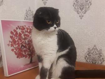       ,    ,   ,    ,    ,     ,  