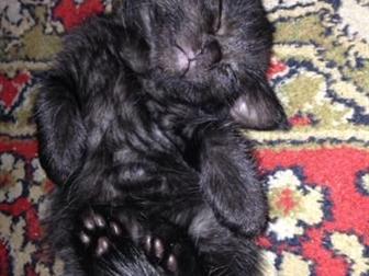       ,    ,  ,       ,      ,    