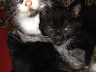       ,    ,  ,       ,      ,    