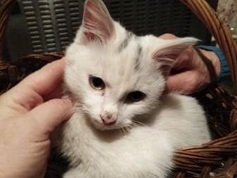   ,   5 ,  ,   , ,     ,  