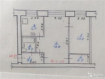  2- ,  -  , :  , ,  , 49 :  :   