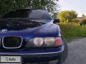  BMW 520i  ,     2003 ,   ,     ,    ,   ,  