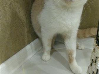    ,   ,  ,     