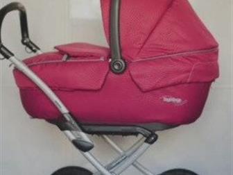    Peg perego,   ,    , : /  