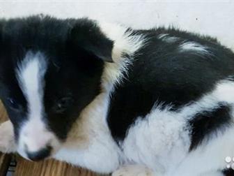 - 2, 5,    ,       ,    ,  