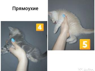     ,   28, 02, 2020      ) ,  