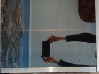        Hansa, /,    ,  