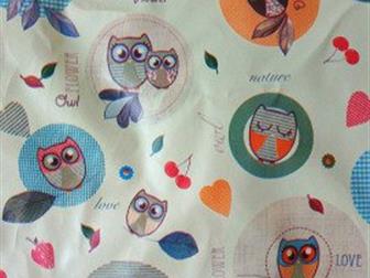    Polini ,  ,   ,   85/77 , : /  