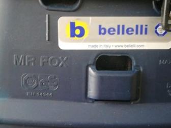 Bellelli MR Fox  22 ,    ,   ,    ,    , : /  