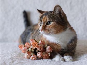 !?  , , ?    ??       , , ,  (  ),   