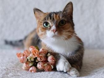 !?  , , ?    ??       , , ,  (  ),   