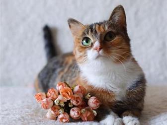 !?  , , ?    ??       , , ,  (  ),   
