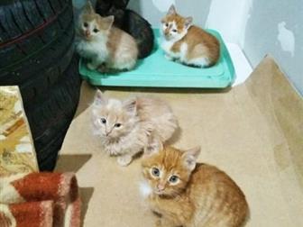 ,    ,   2 ,    ,  