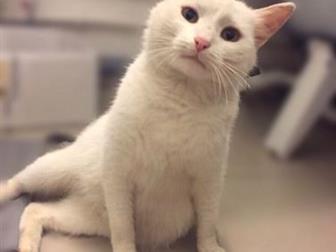     ! , , ,  ,  2 ,  ,    , , ,     