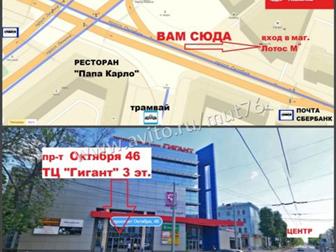 3  Myriwell RP-100B  6  ,    , Hamy4       : -  46,   ()  