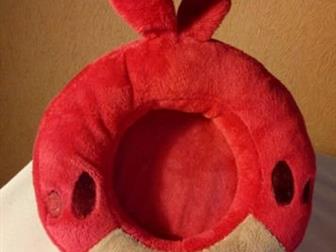   24/20 angry birds, ,    ,  100 :   -