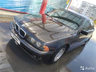  ,  BMW 5,      ,    ,  ,         -