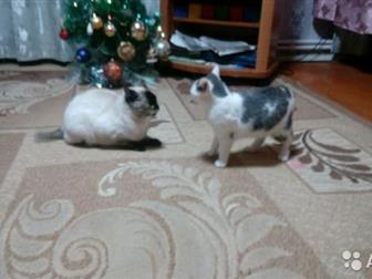  ,   6,  ,    ,  