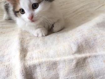 , ,     ,    ,  ,  ,   26 ,   ,       