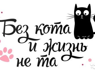         ,   , ,  )))   ,  