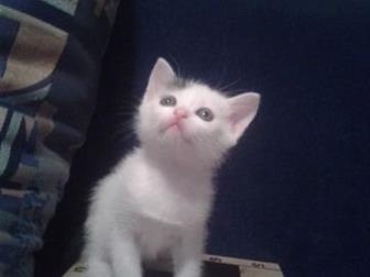    -      ,   23 ,    ,   ,   ,     