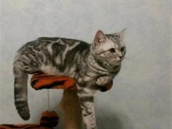  -    ,  (   )  !   , !   !  