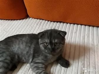  3 ,     ,    ,  