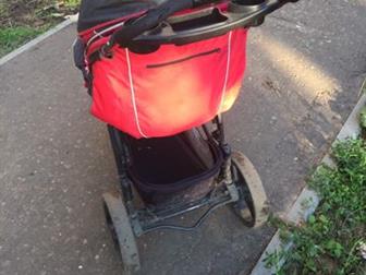  ()  Babycare Jogger Cruze,  ,     2018 ,  2,5   (,   ),   