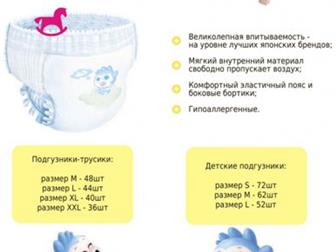 , , , , , , ,  Palmbaby Magic XXL (15  ) 36 - Palmbaby       