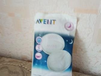      Avent,  ( ),     ,    -          --