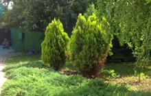 ������ 2-������� ��� 150 �2 (������) �� ������� 5 �����, � �-� �����