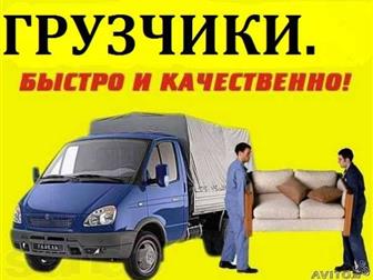   ,  -  ,  ,  ,  , 32937397  