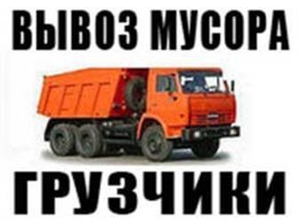   ,     , , , , , , 33809569  --