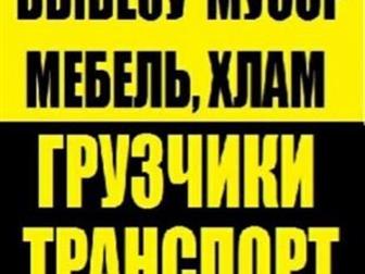  ,   , , , ,  34248163  --