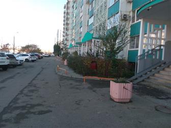  ,       ,   ,  ,    ,       