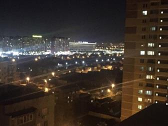   1-       "",  ,  ,      ,  