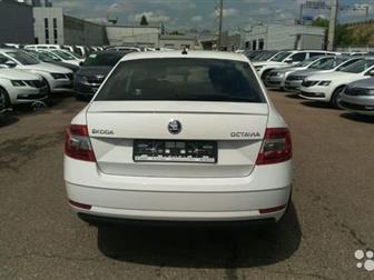   -  ,   SKODA:       -  20 000  100 000            